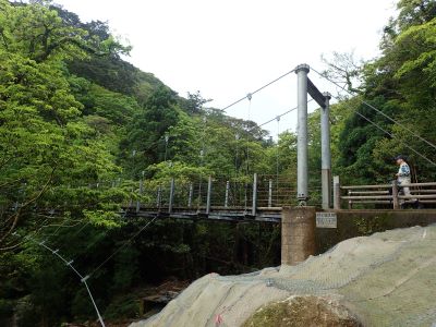 開通したさつき吊橋