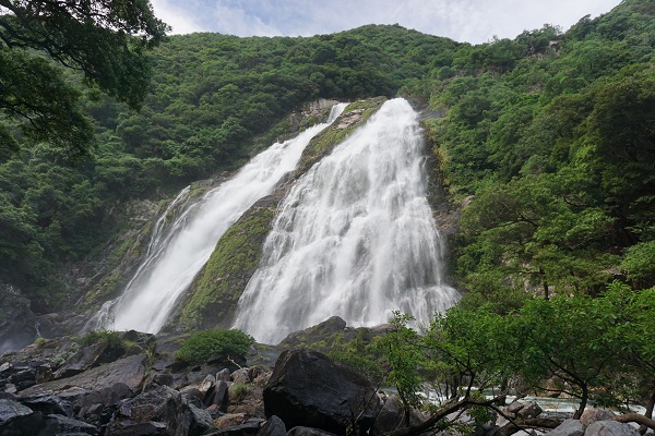 滝_大川の滝