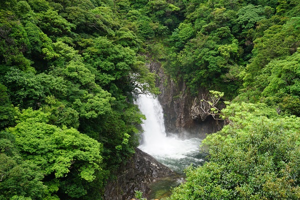 滝_竜神の滝