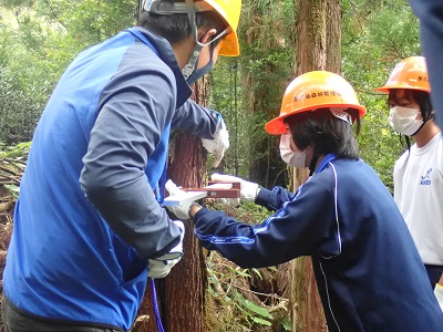 樹木の太さの測定体験