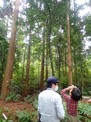 樹高の測定体験