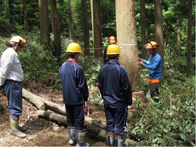 伐倒現場を見学する生徒