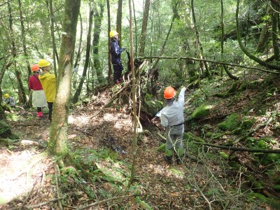 試験地内で対象木にナンバータグを取り付け