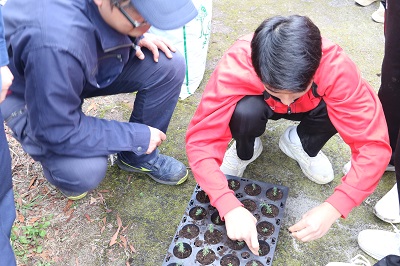 アドバイスをもらいながらの植替え