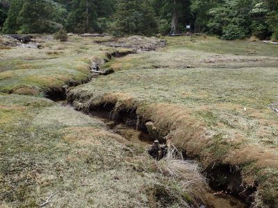 自然発生した流路