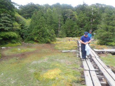 湿原のモニタリング調査