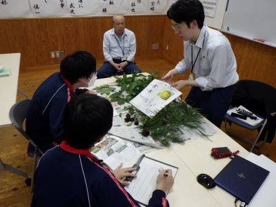 リンゴ椿について説明