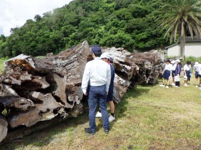 土埋木について説明する職員