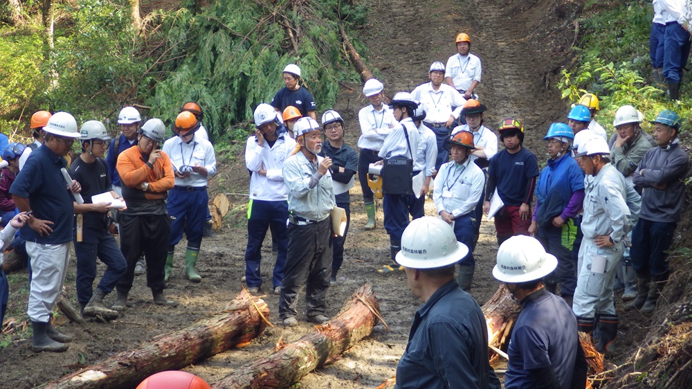 有利採材の質疑