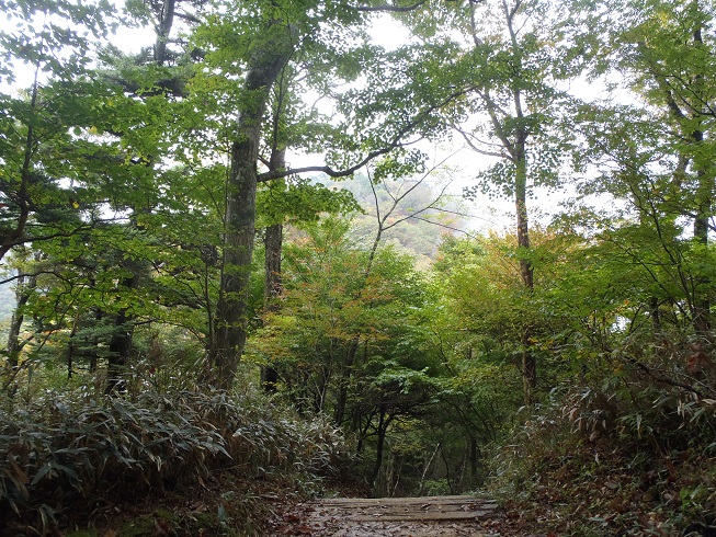 八丁坂手前から石鎚山を望む