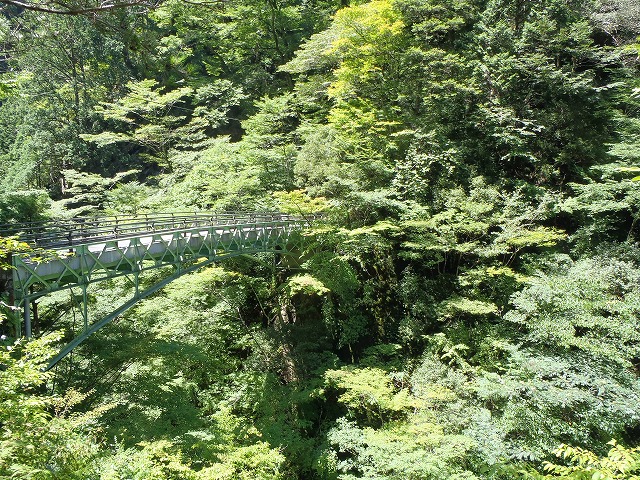 H29.8.17面河渓谷通天橋