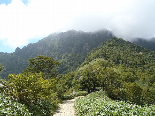 夜明かし峠から石鎚山を望む