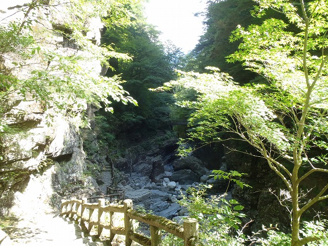 面河渓谷空船橋