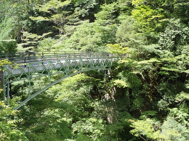 面河渓谷通天橋