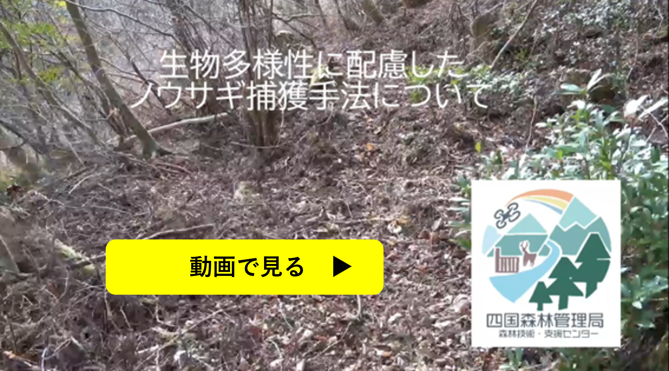 生物多様性に配慮したノウサギ捕獲手法　動画　８分