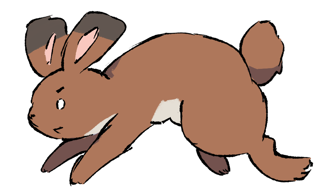ウサギ