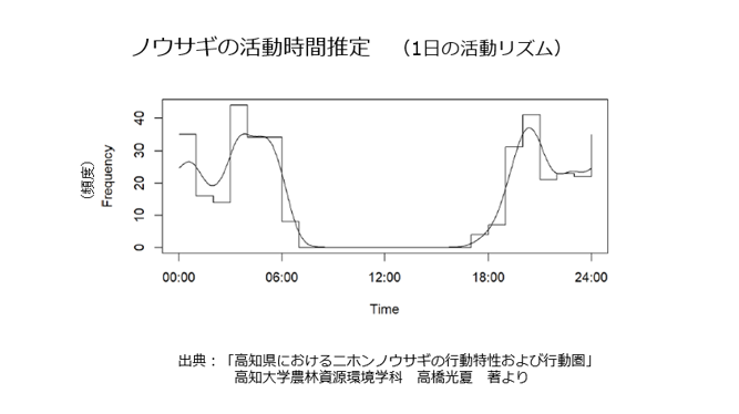 ノウサギの活動時間