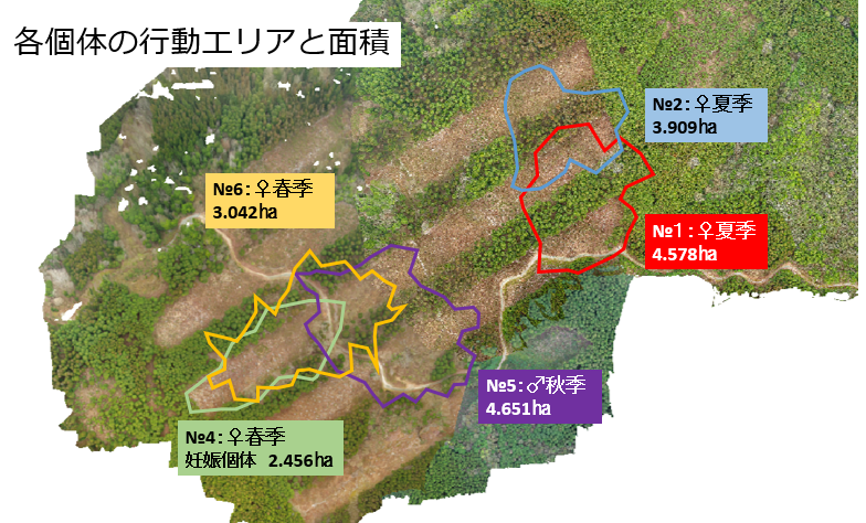 各個体の行動エリア