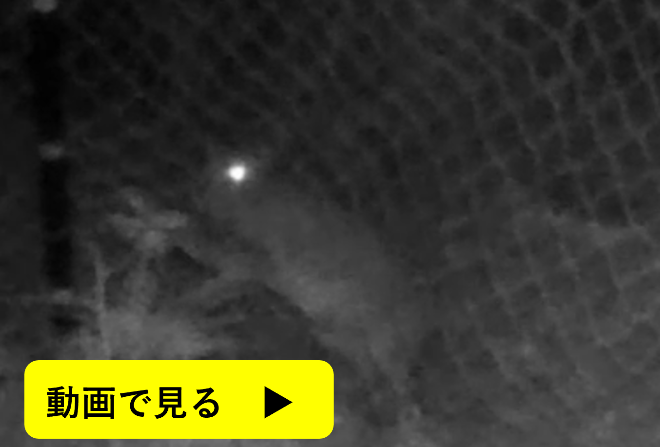 ネット際の植栽は被害甚大動画