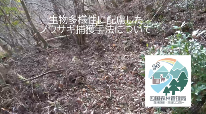 生物多様性に配慮したノウサギ捕獲手法