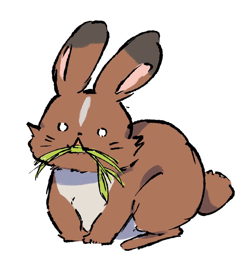 ウサギ