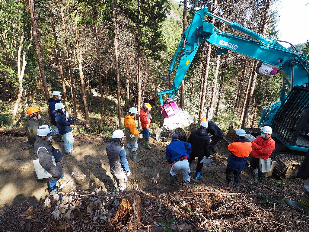 フェラーバンチャによる伐倒作業を見学中