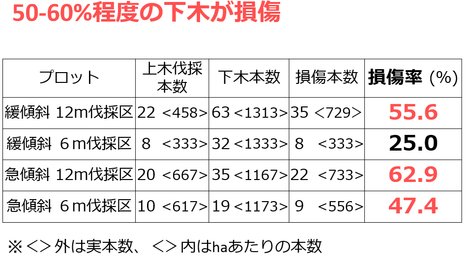 下木調査結果