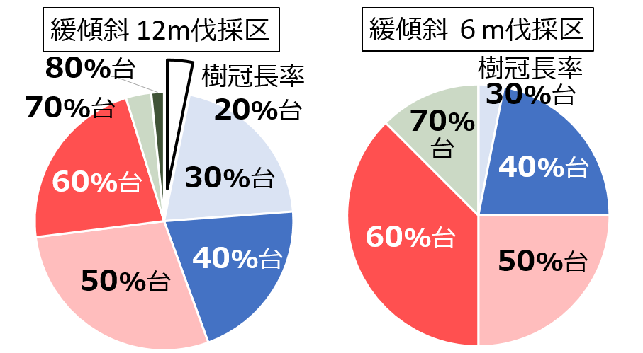 樹冠長率調査結果