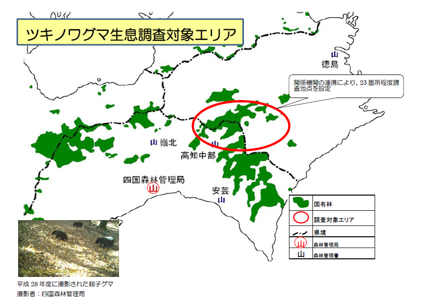 ツキノワグマ生息調査対象エリア