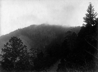 105 雨杉遠景