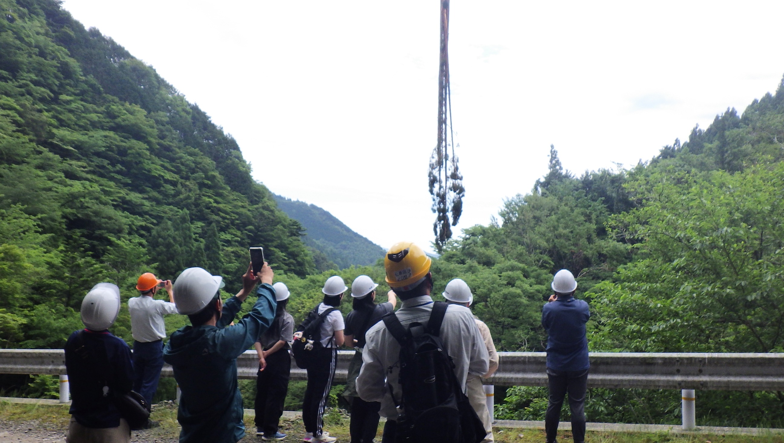 架線による集材を見学している様子