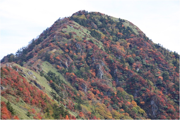 いの町寺川 西黒森山の紅葉