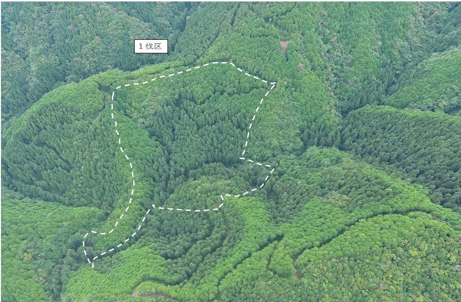 足川山4032いドローン撮影画像