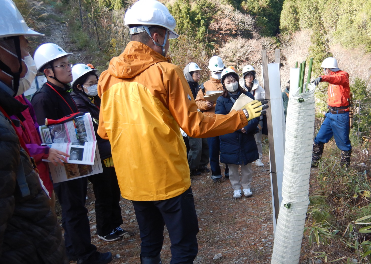 獣害対策のための単木保護資材の説明を受けている様子