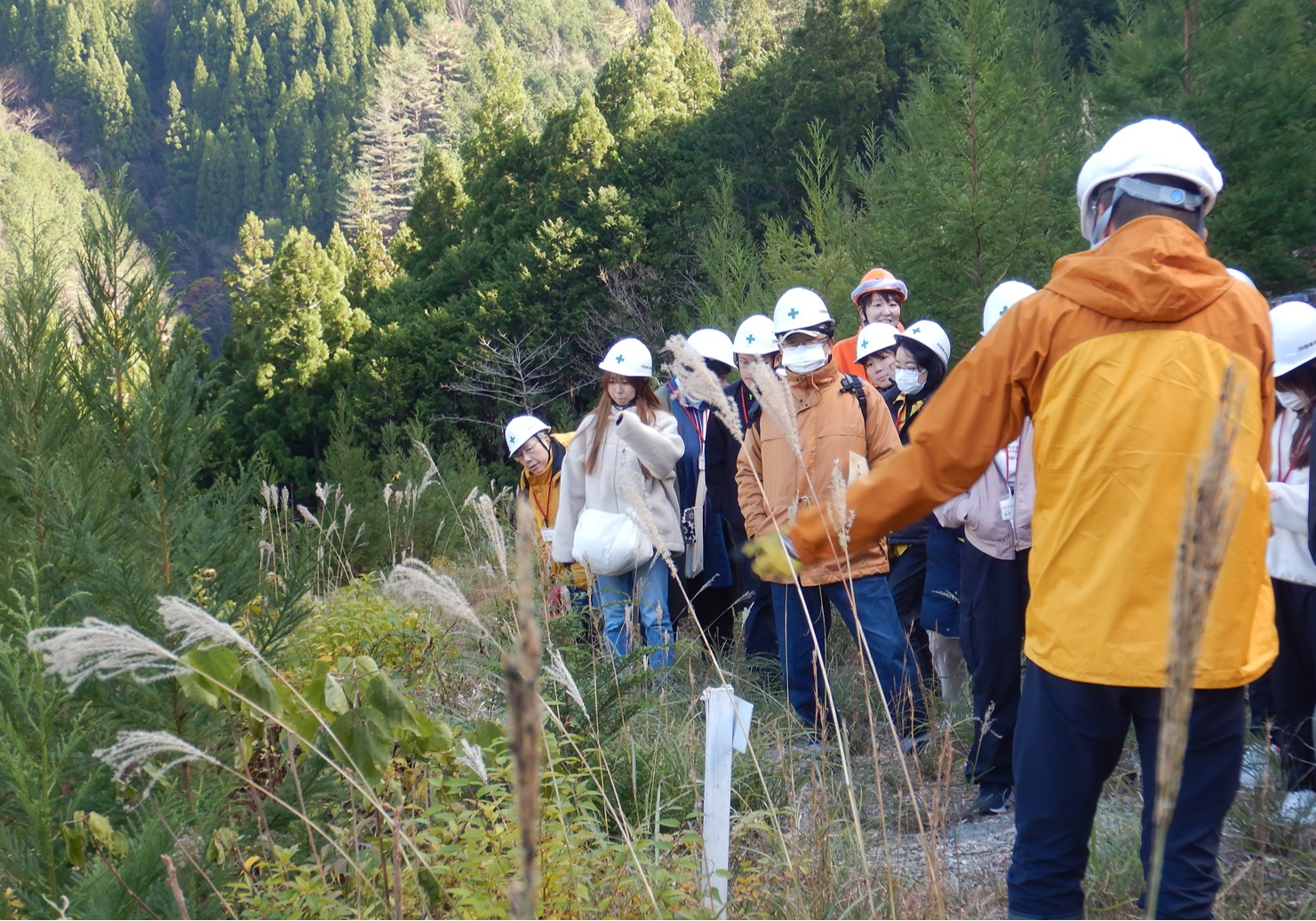 大苗と施肥を使用した低コスト造林」の試験地を見学している様子