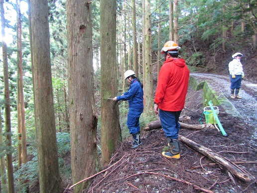 林内での調査実習