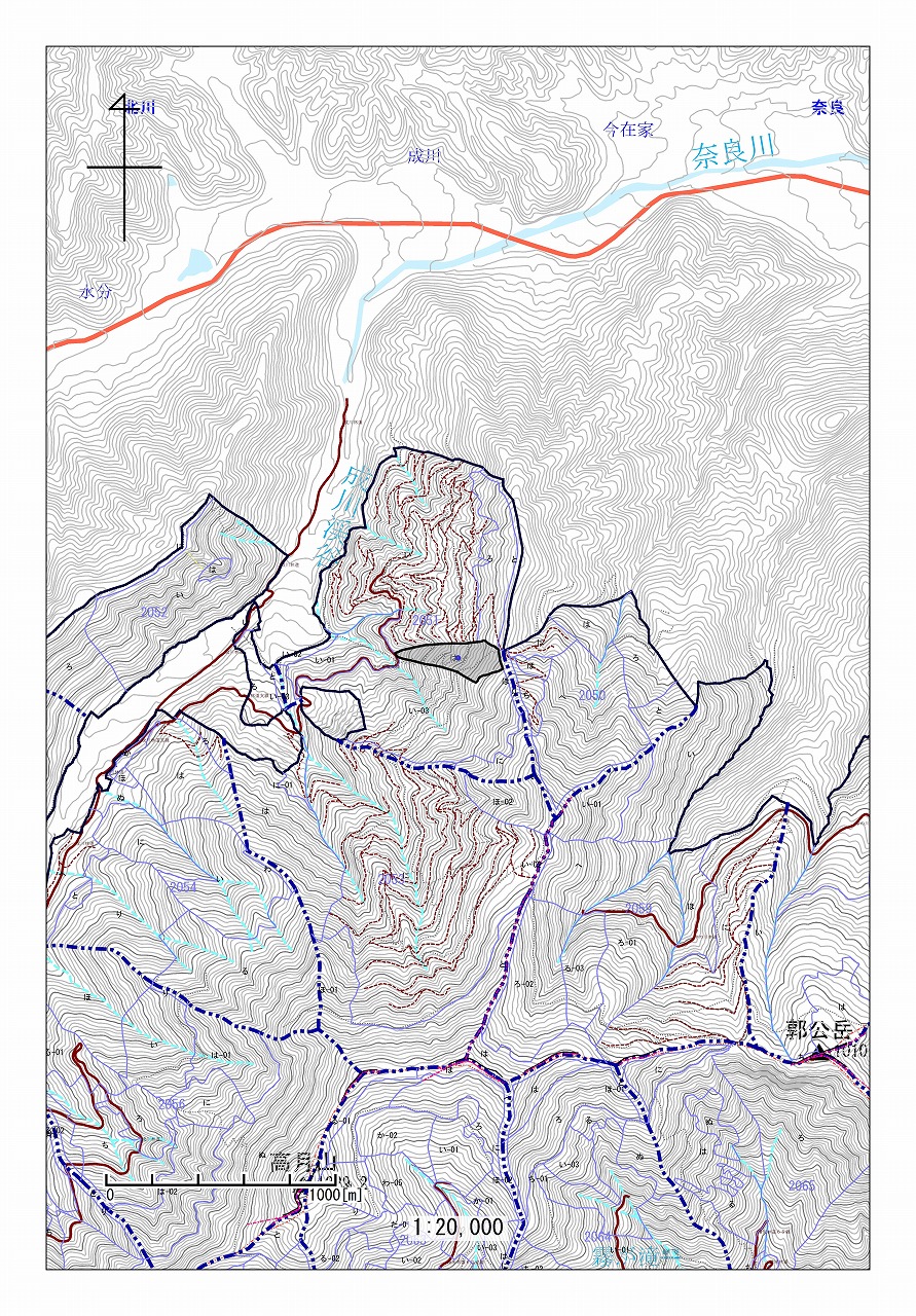 奈良奥山2051は(1/20000)