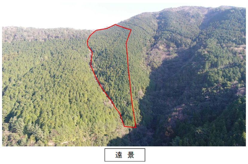 奈良奥山2051は