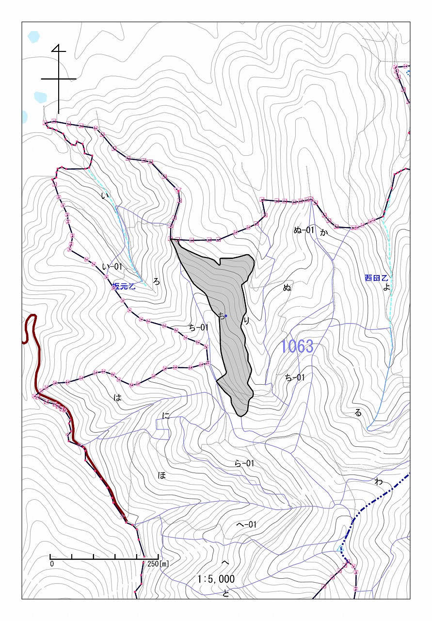 赤ケ谷山1063ち(1/5000)