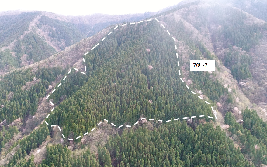 杉ノ熊山70い7