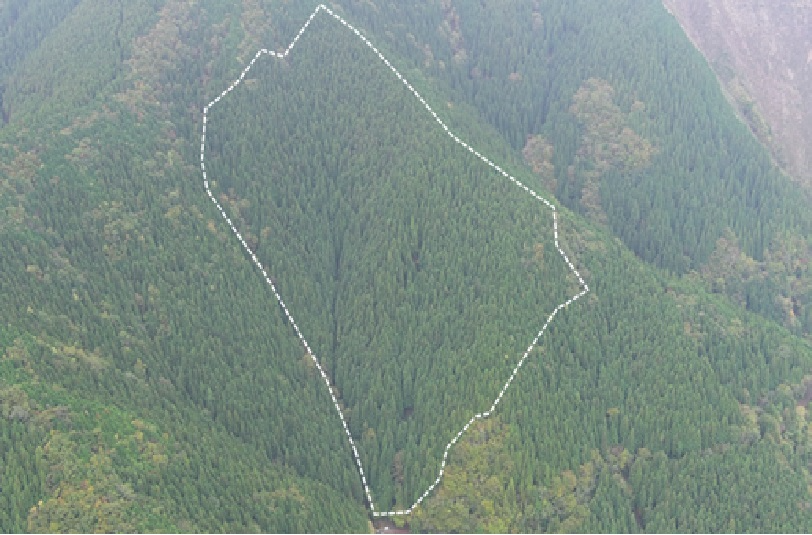 杉ノ熊山70い8林小班の遠景写真