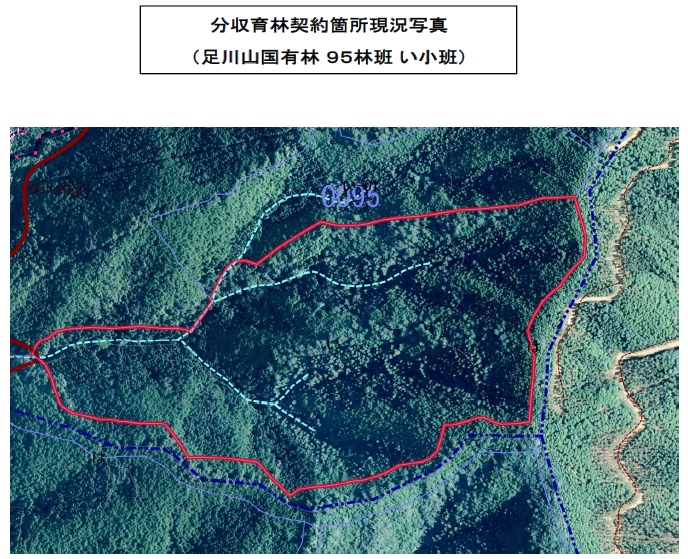 足川山95い_空中写真