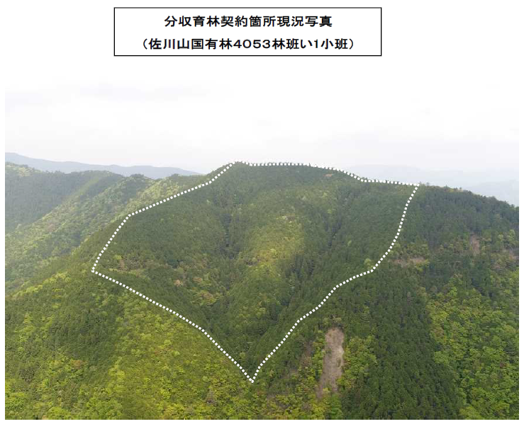 四万十森林管理署_佐川山4053い1