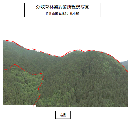 現況写真_遠景
