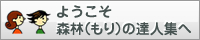 ようこそ森林（もり）の達人集へ