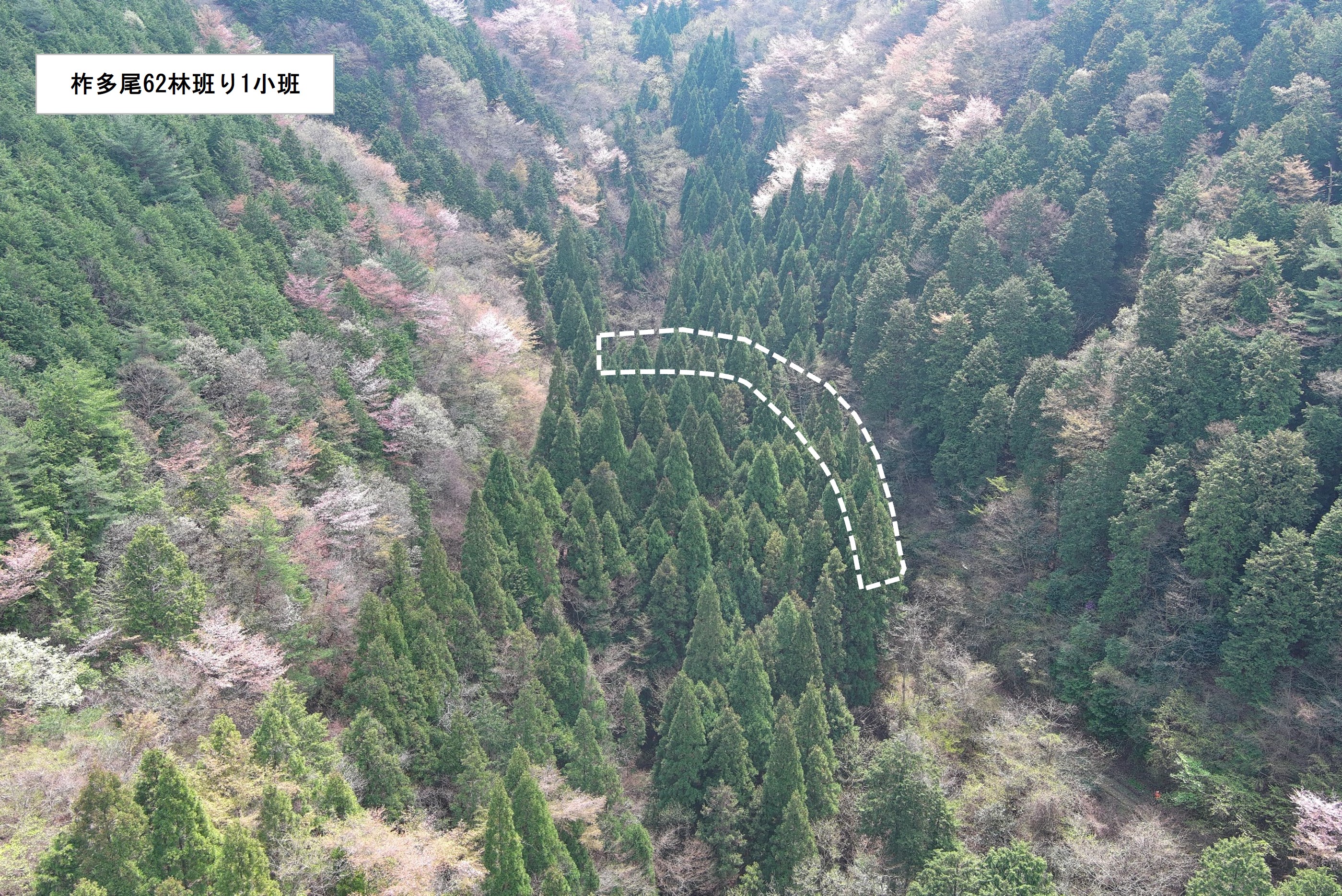 ドローン撮影