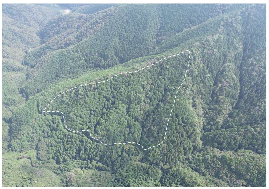 明畑山4001いドローン撮影画像