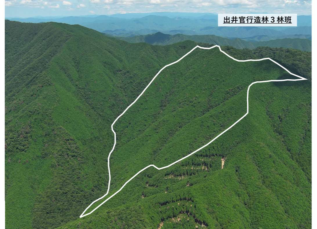 出井官行造林3いドローン撮影画像