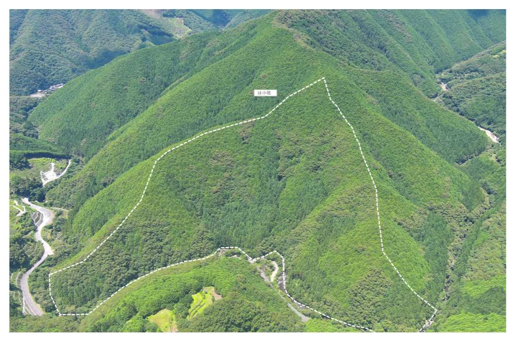 イサキホウキギ山78はドローン撮影画像