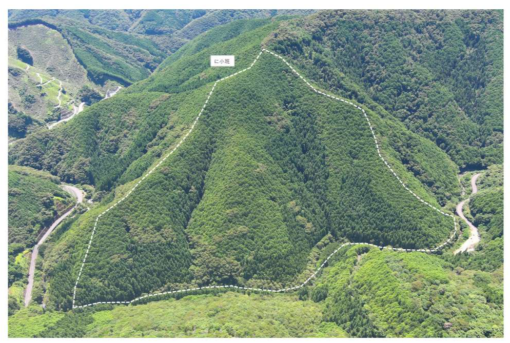 イサキホウキギ山78にドローン撮影画像